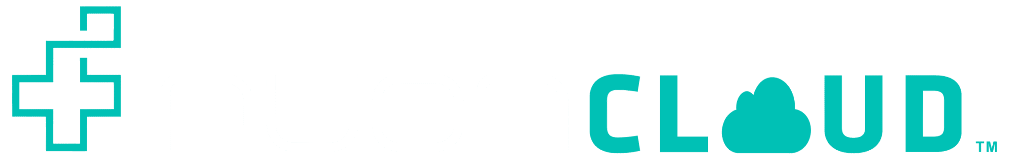 Nuon Cloud Logo - White