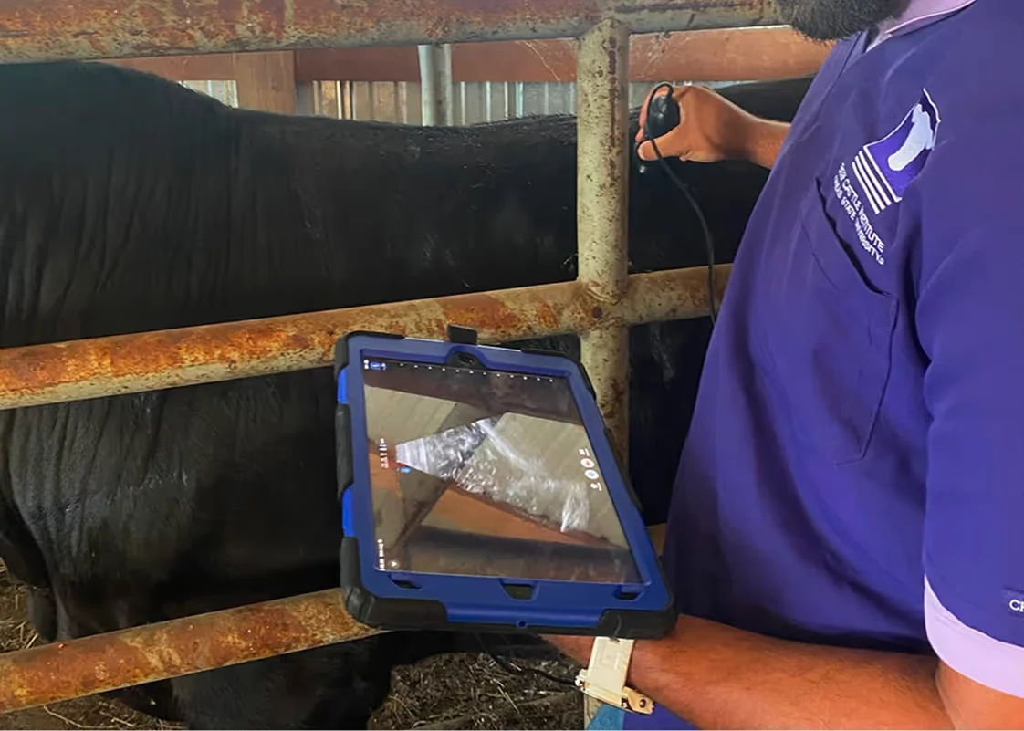 Butterfly iQ3 Vet Point-of-Care Ultrasound - Monitor with horse