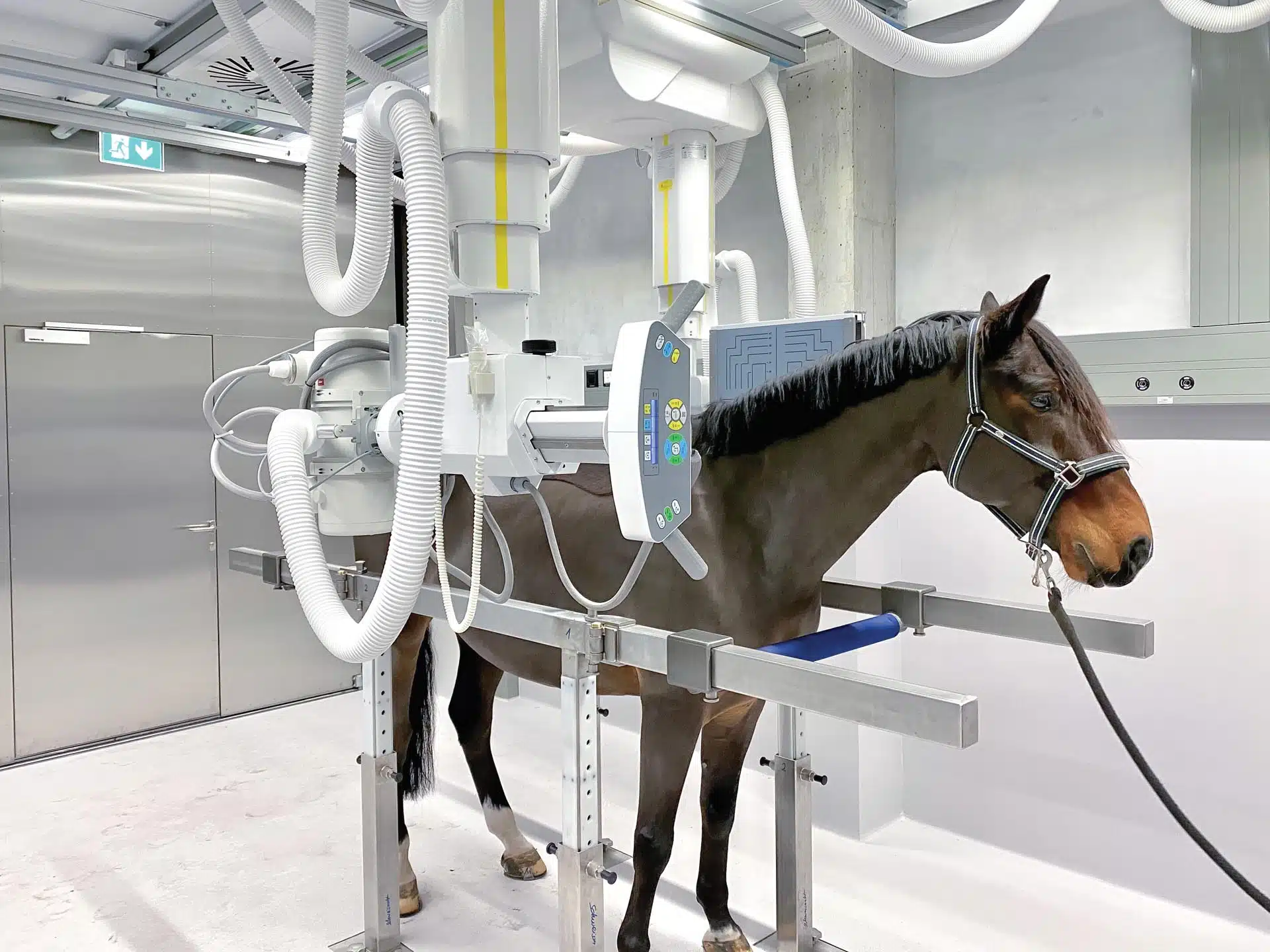 Control-X Zoomax Equine with Horse