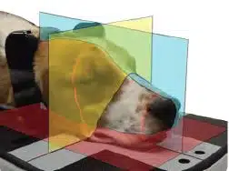 MyVet CT D - Nuon Imaging - Veterinary Radiology Equipment 3