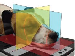 MyVet CT D - Nuon Imaging - Veterinary Radiology Equipment 3