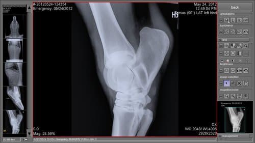 Nuon Imaging - NuonVet Acquisition Software