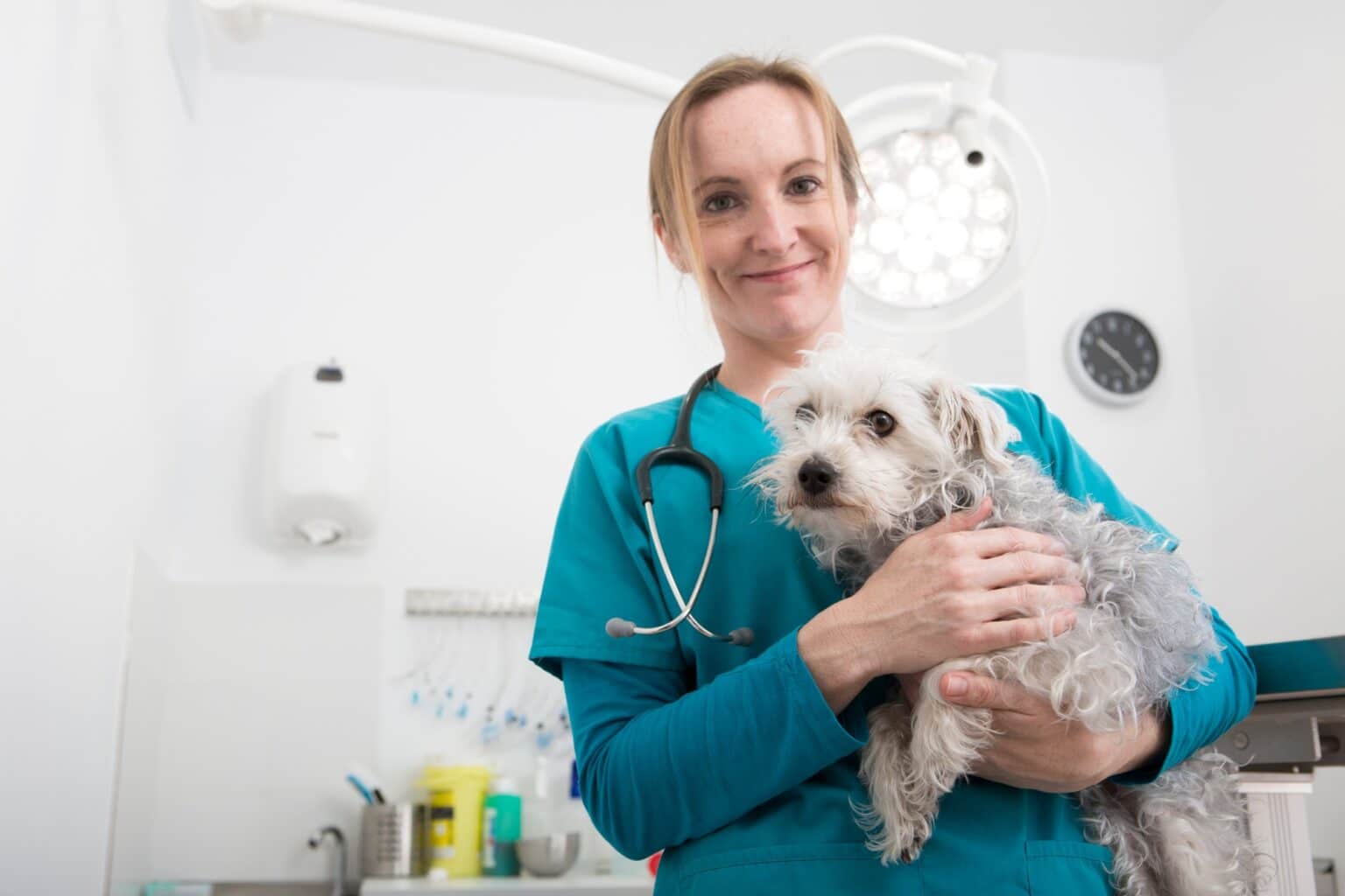 Veterinarian smiling with a furry friend in a clinic