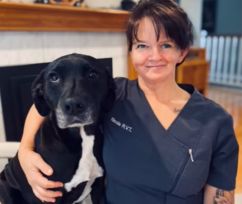 Nicole Tsolum Veterinary Hospital