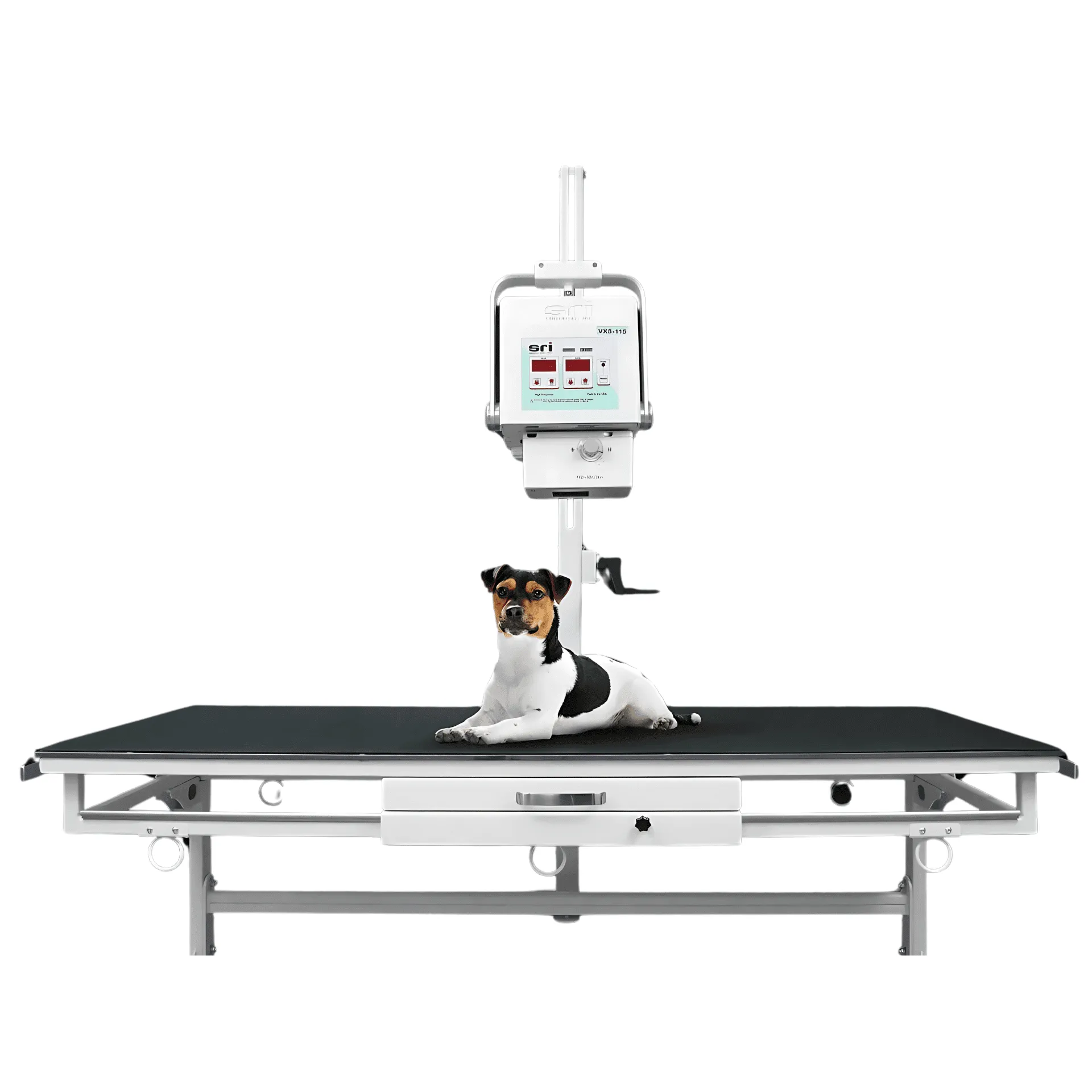 VXS-115 Veterinary X-Ray System - Nuon Imaging - Veterinary Radiology Equipment