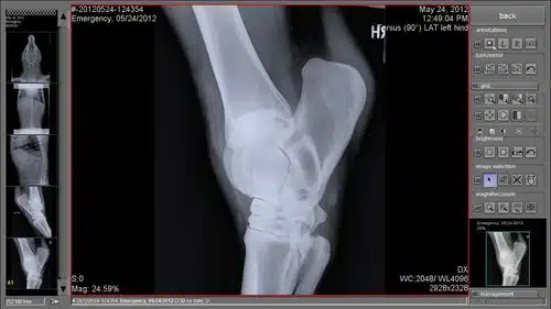 Nuon Imaging - NuonVet Acquisition Software