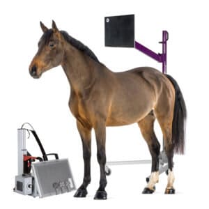 Equine X-Ray Accessories - Nuon Imaging - Veterinary Radiology Accessories