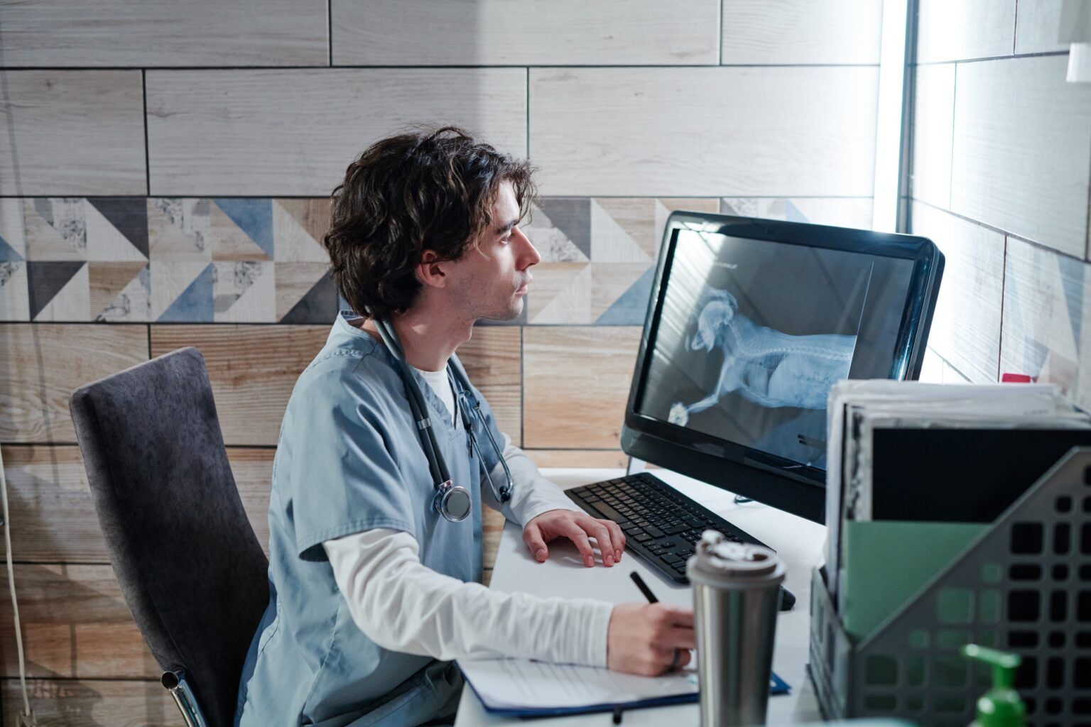 Vet doctor examining the x-ray image on computer