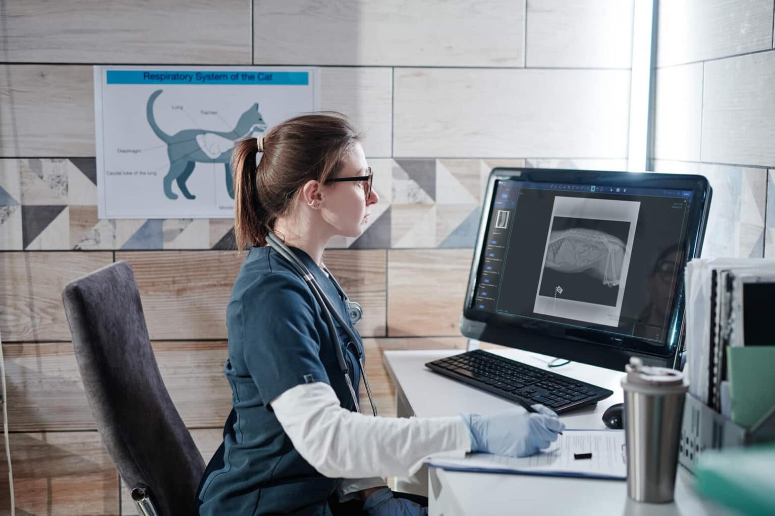 Nuon Imaging Veterinary Using Skyline PACS