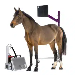 Equine X-Ray Accessories - Nuon Imaging - Veterinary Radiology Accessories