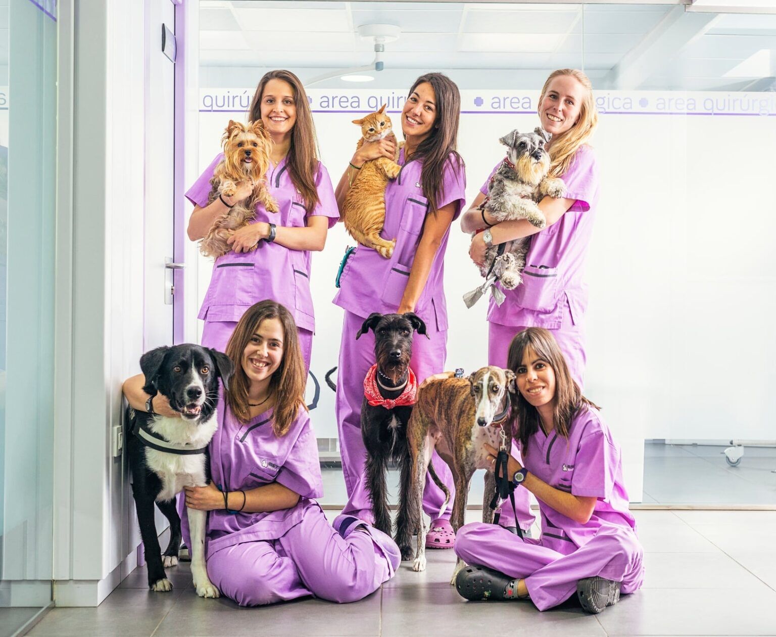 Cheerful women veterinary holding her pets.