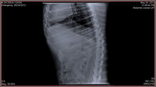 Nuon Imaging - NuonVet Acquisition Software 9