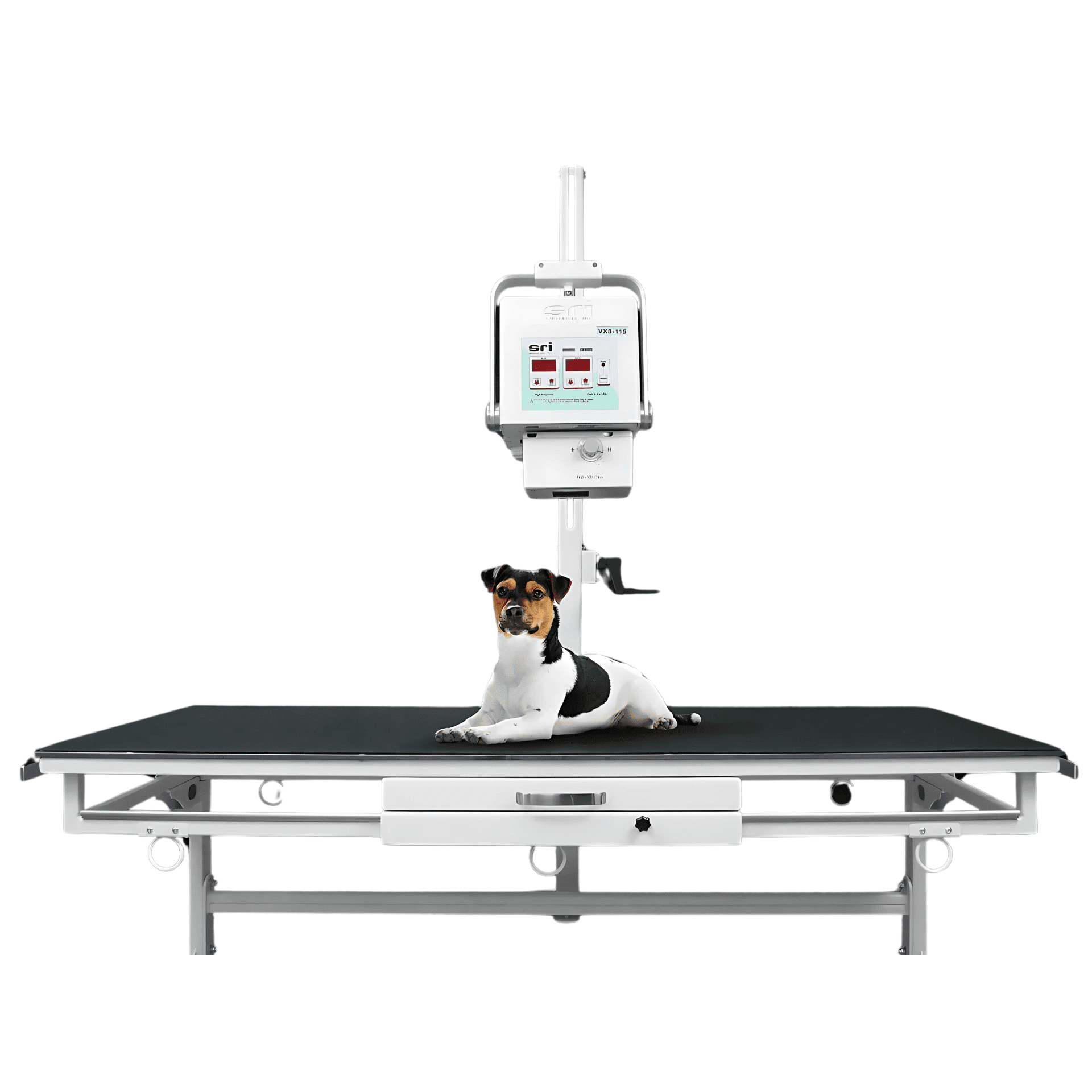 VXS-115 Veterinary X-Ray System - Nuon Imaging - Veterinary Radiology Equipment