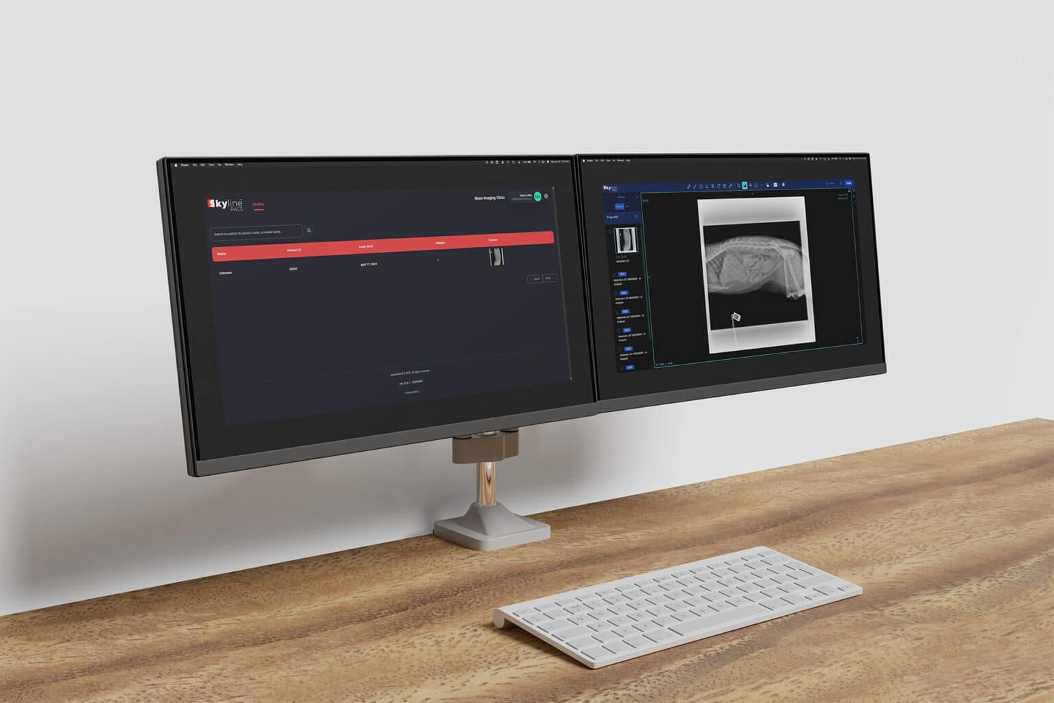 Nuon Imaging Skyline PACS