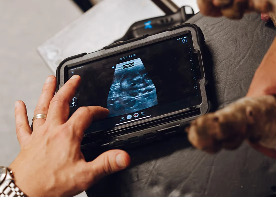 Butterfly iQ3 Vet Point-of-Care Ultrasound - Monitor